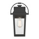 Branwyn One Light Outdoor Wall Lantern (79102-66)