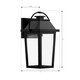 Branwyn One Light Outdoor Wall Lantern (79103-66)