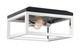 Cakewalk Two Light Flush Mount (60-7095)