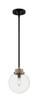 Axis One Light Pendant (60-7121)