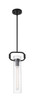 Nuvo Lighting - 60-7153 - One Light Pendant - Teresa - Matte Black
