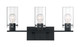 Sommerset Three Light Vanity (60-7273)