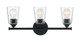 Bransel Three Light Vanity (60-7283)