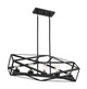 Nuvo Lighting - 60-7305 - Five Light Island Pendant - Zemi - Black
