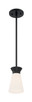 Nuvo Lighting - 60-7314 - One Light Mini Pendant - Caleta - Black