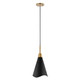 Nuvo Lighting - 60-7476 - One Light Pendant - Tango - Matte Black / Burnished Brass