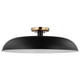 Nuvo Lighting - 60-7497 - One Light Flush Mount - Colony - Matte Black / Burnished Brass