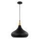 Phoenix One Light Pendant (60-7513)