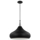 Nuvo Lighting - 60-7516 - One Light Pendant - Phoenix - Matte Black / Polished Nickel