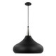 Phoenix One Light Pendant (60-7516)