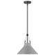 Zelda One Light Pendant (60-7646)