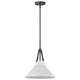 Nuvo Lighting - 60-7647 - One Light Pendant - Zelda - Black