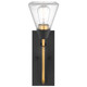Starlight One Light Wall Sconce (60-7681)