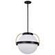 Nuvo Lighting - 60-7774 - One Light Pendant - Lakeshore - Matte Black