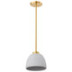 Nuvo Lighting - 60-8002 - One Light Mini Pendant - Collins - Brushed Brass