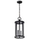 Nuvo Lighting - 60-8115 - Two Light Hanging Lantern - Broadstone - Matte Black