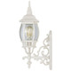 Central Park One Light Outdoor Wall Lantern (60-885)