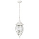 Central Park Three Light Hangng Lantern (60-894)