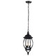 Central Park Three Light Hangng Lantern (60-896)