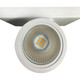 LED Wall Sconce (62-1147)
