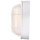 LED Bulk Head Fixture (62-1388)
