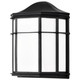 LED Cage Lantern Fixture (62-1397)