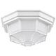 Nuvo Lighting - 62-1399 - LED Spider Cage Fixture - White