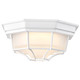 LED Spider Cage Fixture (62-1399)
