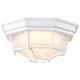 LED Spider Cage Fixture (62-1399)