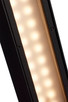 Raven LED Outdoor Wall Sconce (62-1426)