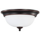 LED Flush Mount (62-1558)