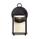 LED Wall Lantern (62-1571)