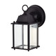 LED Wall Lantern (62-1571)