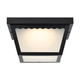 LED Flush Mount (62-1572)