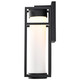 Ledges LED Wall Lantern (62-1611)