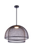 Sculptural Statement Pendants LED Pendant (P1006FB-LED)
