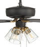 Pro Plus 104 52" Ceiling Fan (P104FBSB5-52BWNFB)