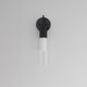 Reeds LED Wall Sconce (E11010-144BK)