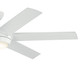 Mint 60"Ceiling Fan (310260WH)