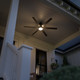Loa 65"Ceiling Fan (310765SBK)