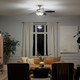 Renew Select 52"Ceiling Fan (330161BSS)