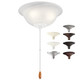 Accessory LED Fan Light Kit (380015MUL)