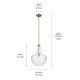 Everly One Light Pendant (42046NBRCS)