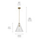 Everly One Light Pendant (42200NBR)
