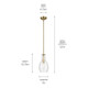 Everly One Light Pendant (42456NBRCS)