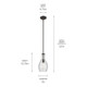Everly One Light Pendant (42456OZCS)