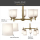 Shailene Five Light Chandelier (43671NBR)