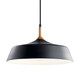 Danika One Light Pendant (43683BK)