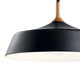 Danika One Light Pendant (43683BK)