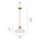 Avery One Light Pendant (43906NBR)